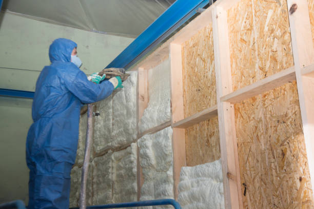 Best Residential Insulation Services  in Gilbert, IA